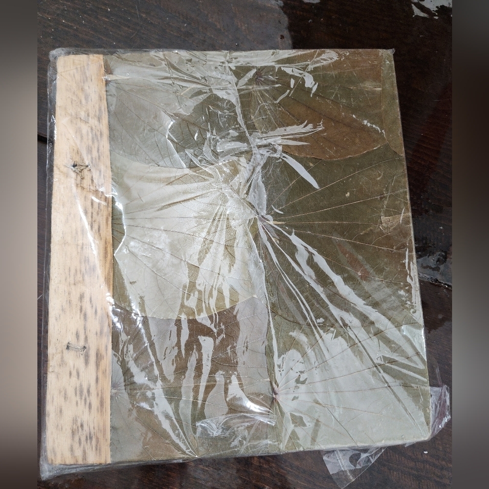 🖼📖 NWT Riviera Maya Photo Album - Picture 3 of 10